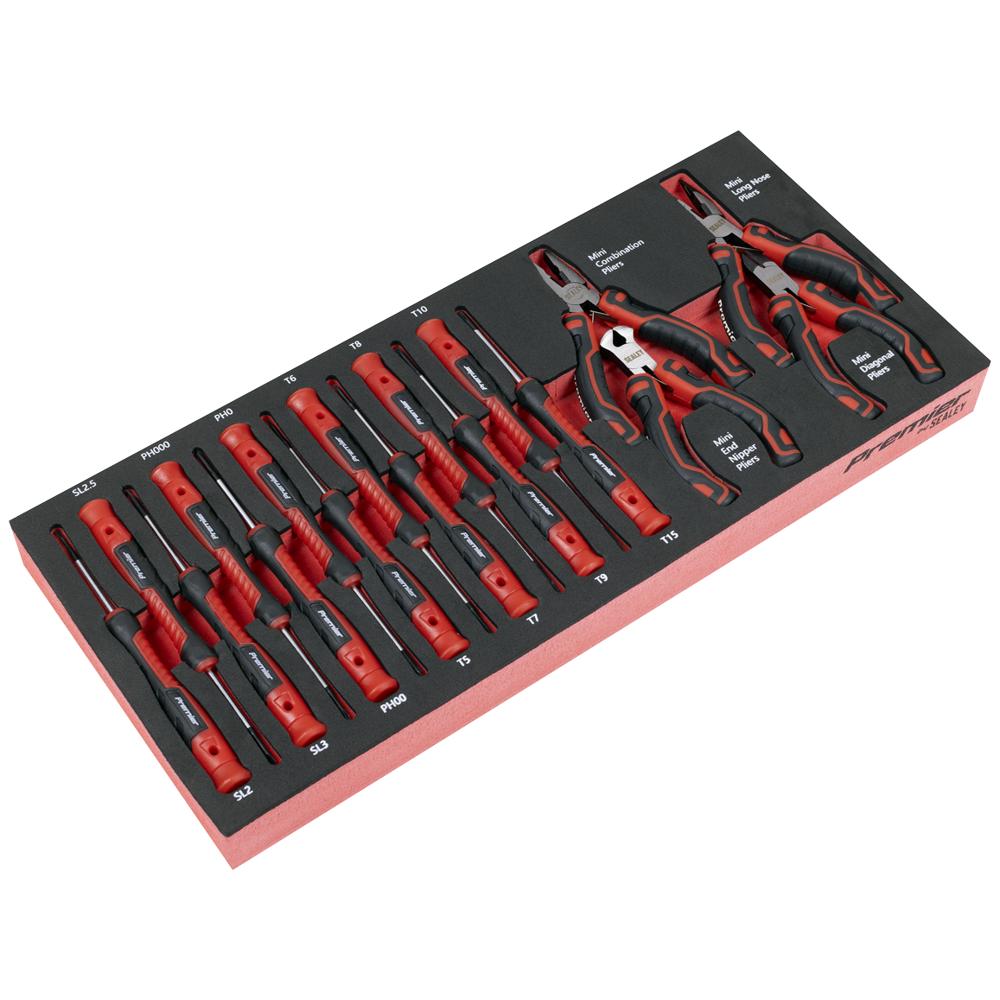 Premier 17 Piece Pliers and Precision Screwdriver Set in Module Tray