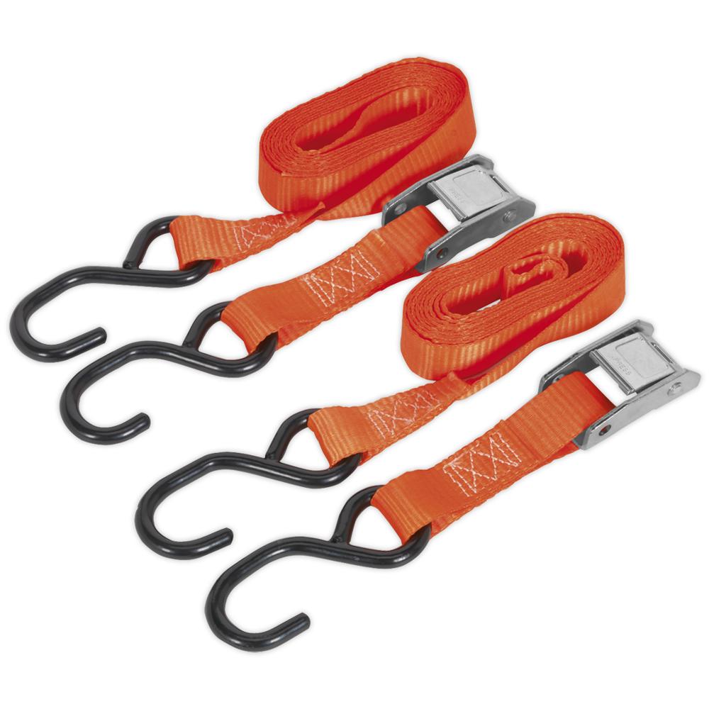 Cam Buckle Tie Downs Strap