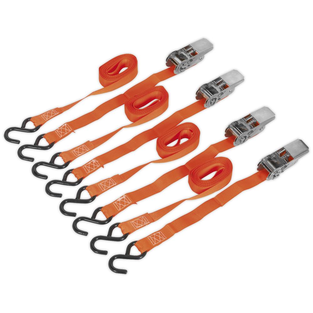 Cam Buckle Tie Downs Strap