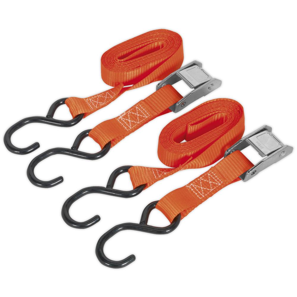 Cam Buckle Tie Downs Strap