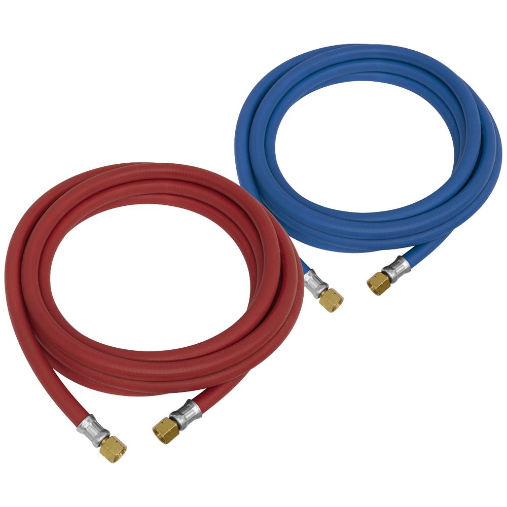 Oxyacetylene Welding Hose Set