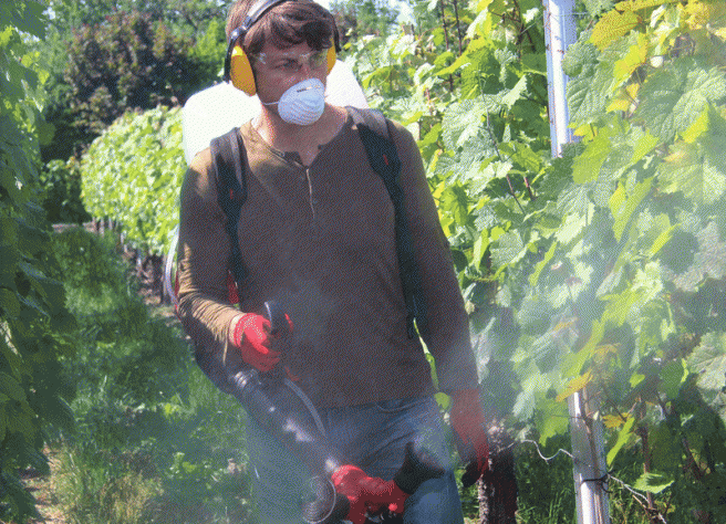 Solo 451 Mist Blower