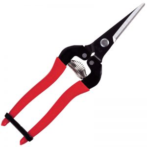 ARS Tools 300L Pointed Fruit Pruner