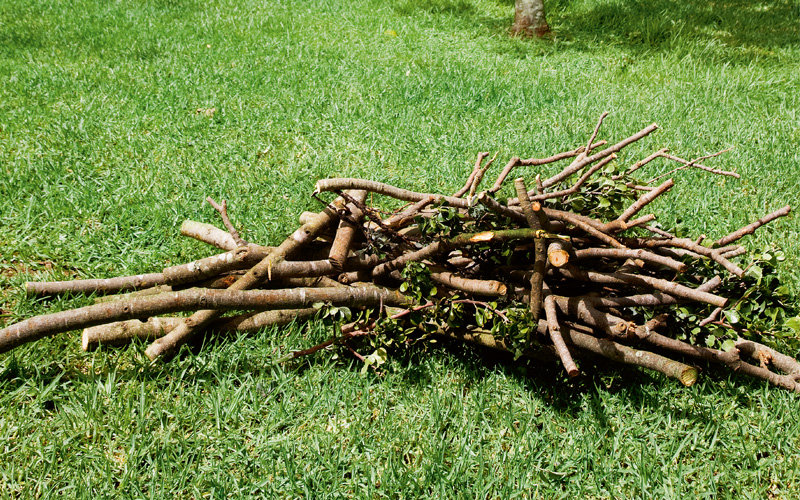 Garden Pruning Waste