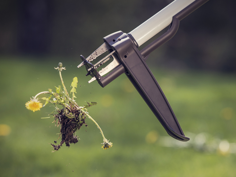 Fiskars White Weed Puller