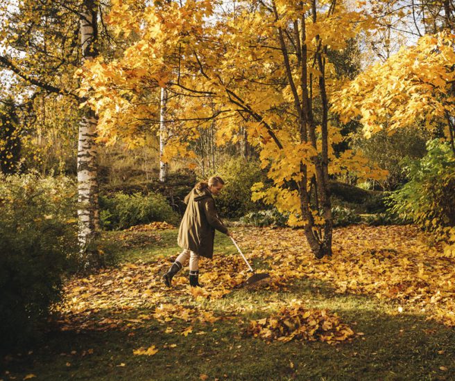 Eco Friendly Leaf Blower Alternatives