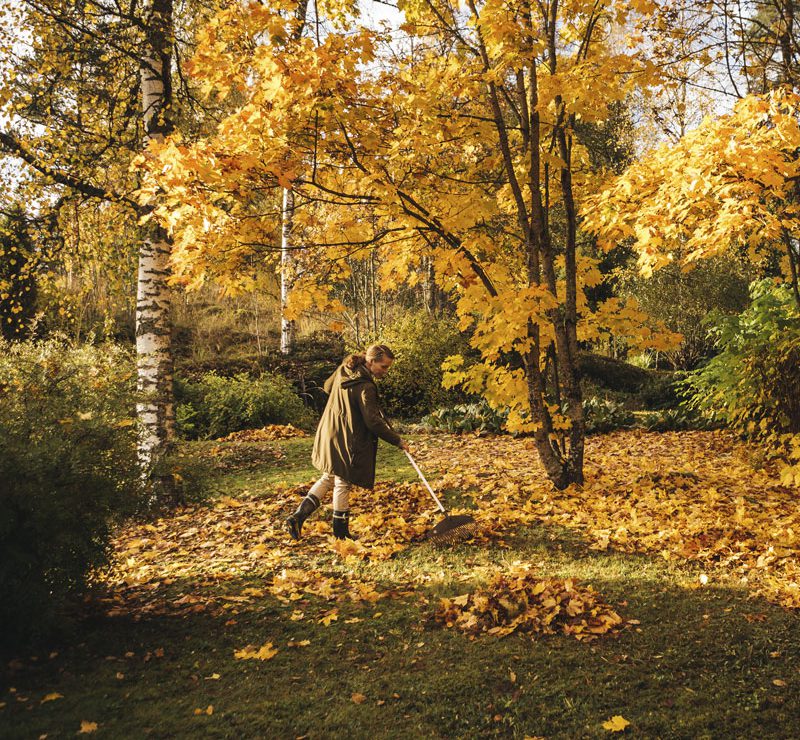 Eco Friendly Leaf Blower Alternatives