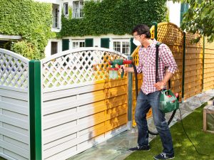 Paint Sprayer Painting Trellis Fence