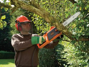 Black and Decker Chainsaw Pruning Trees