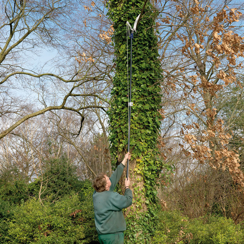 Spear and Jackson Razorsharp Tree Pruner